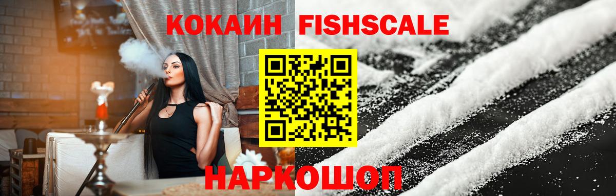 КОКАИН  Бердск  Кокаин Fish Scale  COCAIN Columbia 
