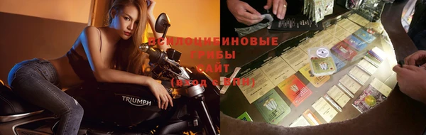 Альфа ПВП Кулебаки