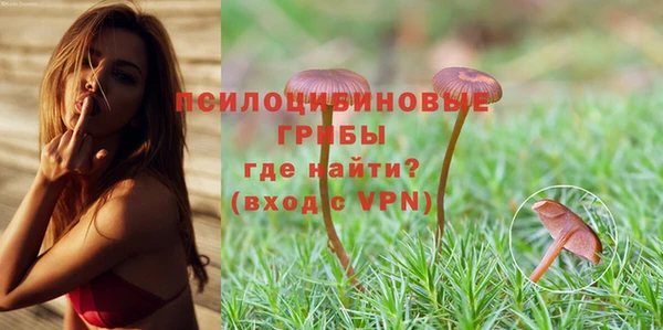 mix Краснослободск