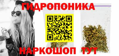 бошки Бердск