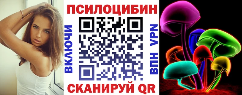 МЕГА онион Бердск Псилоцибиновые грибы Magic Shrooms мориарти Telegram цены наркотик
