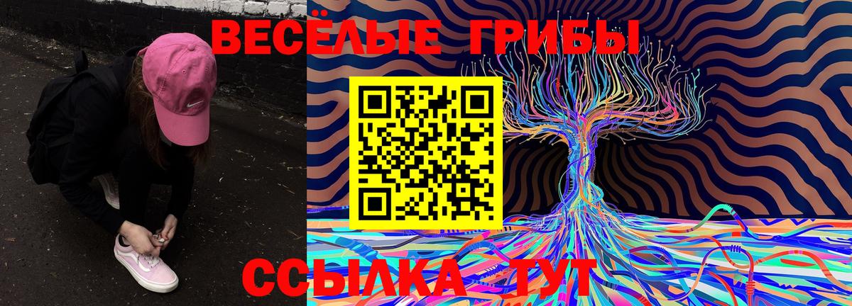 закладки  Бердск  Галлюциногенные грибы MAGIC MUSHROOMS 