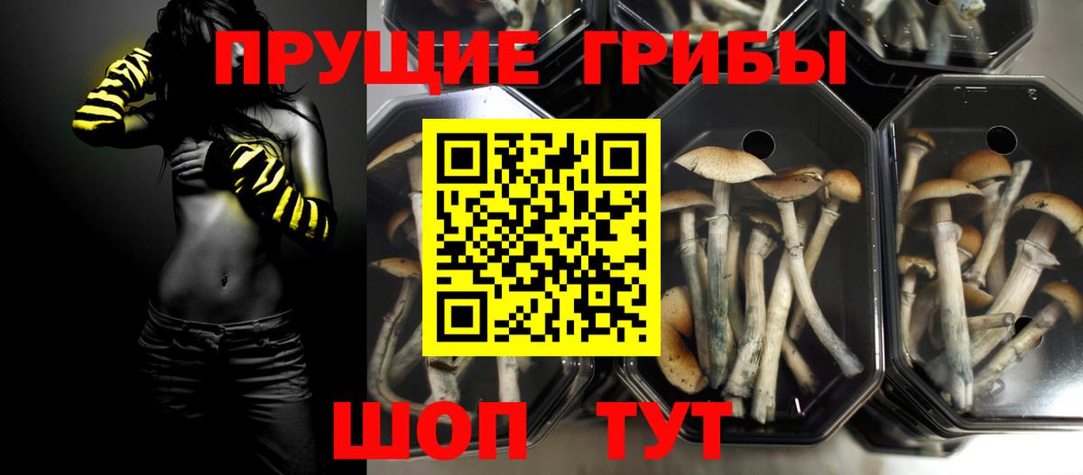 Галлюциногенные грибы мицелий Бердск