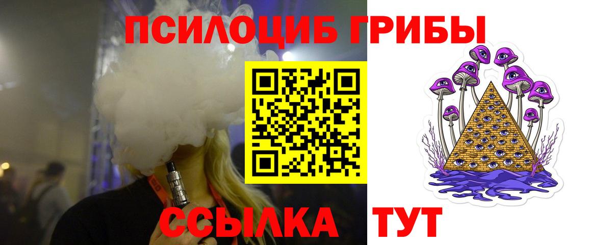 Псилоцибиновые грибы ЛСД Бердск