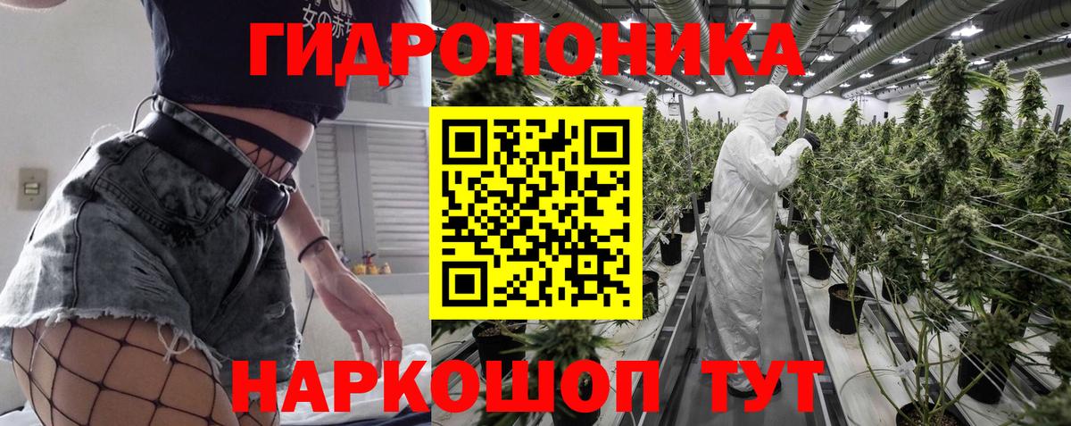 МАРИХУАНА план Бердск